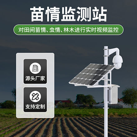 苗情监测